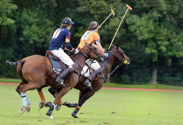 Ebreichsdorfu Září 2010 Hráči Nizozemska Francie Které Polo 2010 Mistrovství — Stock fotografie