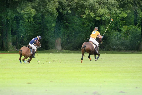 Ebreichsdorf オーストリア 2010 正体不明の馬術や馬国際ポロ大会で — ストック写真