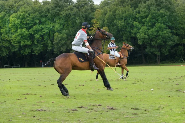 Ebreichsdorf オーストリア 2010 正体不明の乗馬と馬国際ポロ大会で審判員 — ストック写真