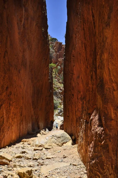 Australien Woman Bemerkenswerter Standley Kluft Mcdonnell Range National Park Verfügbar — Stockfoto