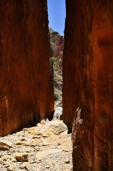 Australien Woman Bemerkenswerter Standley Kluft Mcdonnell Range National Park Verfügbar — Stockfoto