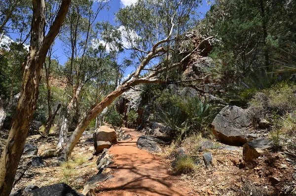 Australie Sentier Menant Gouffre Standley Dans Parc National Mcdonnell Range — Photo