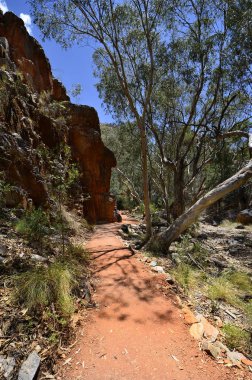 Avustralya, Nt, patika Standley uçurum içine Mcdonnell aralığı Milli Parkı içinde