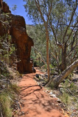Avustralya, Nt, patika Standley uçurum içine Mcdonnell aralığı Milli Parkı içinde