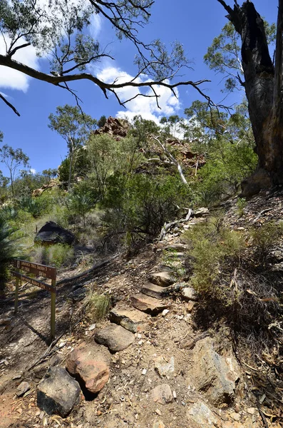 Australie Sentier Menant Sentier Larapinta Dans Gouffre Standley Dans Parc — Photo