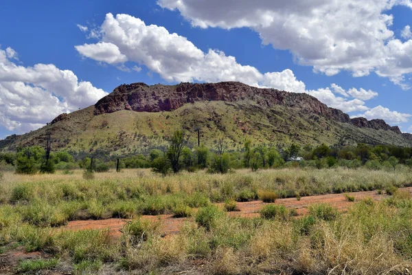 Australia Pastos Largo Cordillera Mcdonnell Cerca Alice Springs —  Fotos de Stock