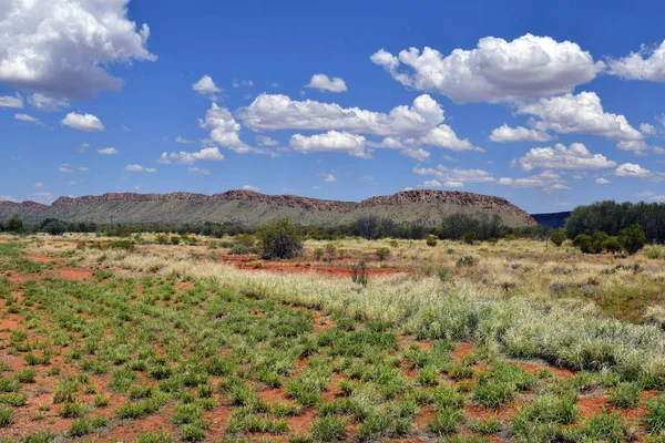 Australia Pasture Mcdonnell Range Alice Springs — Stock Photo, Image