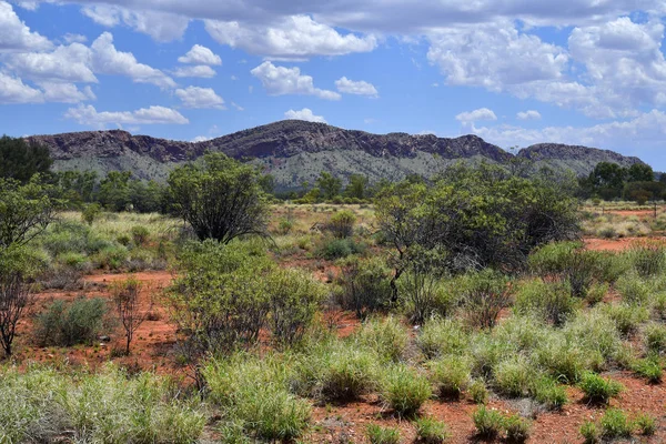 Australien Weide Entlang Mcdonnell Range Der Nähe Von Alice Quellen — Stockfoto