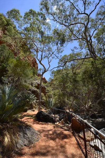 Αυστραλία Μονοπάτι Standley Χάσμα Mcdonnell Γκάμα Εθνικού Πάρκου — Φωτογραφία Αρχείου
