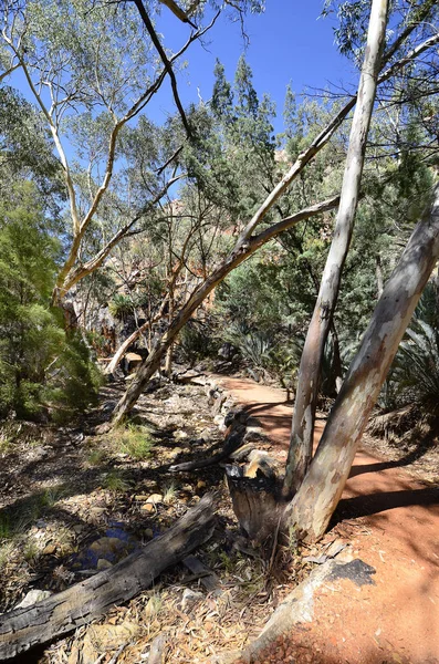 Αυστραλία Standley Χάσμα Στο Mcdonnell Γκάμα Εθνικού Πάρκου — Φωτογραφία Αρχείου