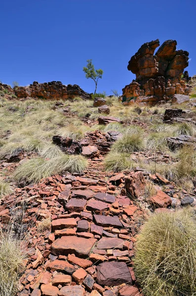 Australia Sendero Sobre Rocas Del Desfiladero Trephina Parque Nacional East —  Fotos de Stock