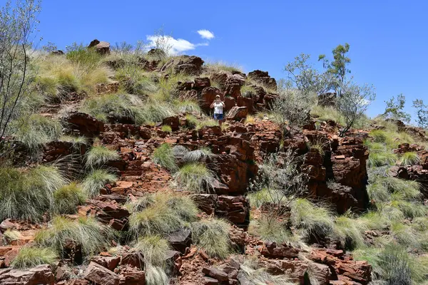 Alice Springs Australia Noviembre 2017 Mujer Haciendo Fotos Sendero Trephina —  Fotos de Stock