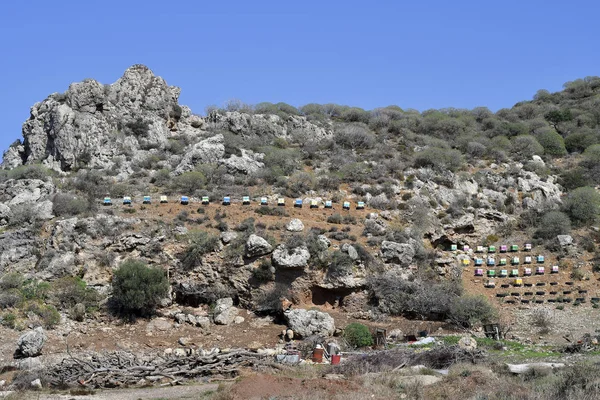 Griekenland Bijenteelt Bijenteelt Kreta Eiland — Stockfoto