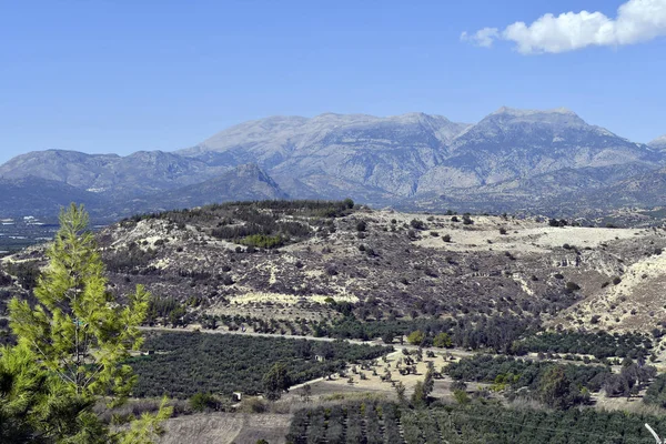 Grecia Isla Creta Paisaje Rural Con Plantación Olivos Cordillera Ida —  Fotos de Stock