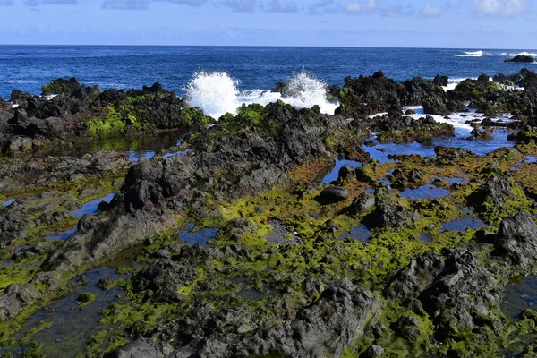 Spain Canary Islands Tenerife Coast Low Tide Volcanic Rocks Puerto — Stock Photo, Image