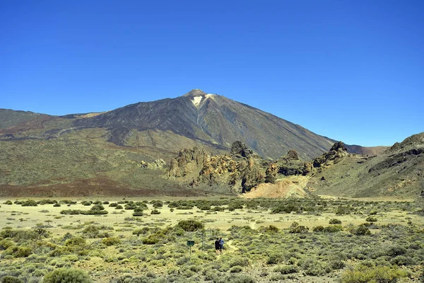 Spagna Isole Canarie Tenerife Persone Non Identificate Piedi Nel Parco — Foto Stock