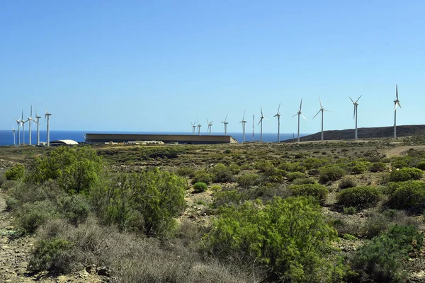 西班牙 加那利群岛 特内里费岛 大西洋沿岸的风电场 — 图库照片