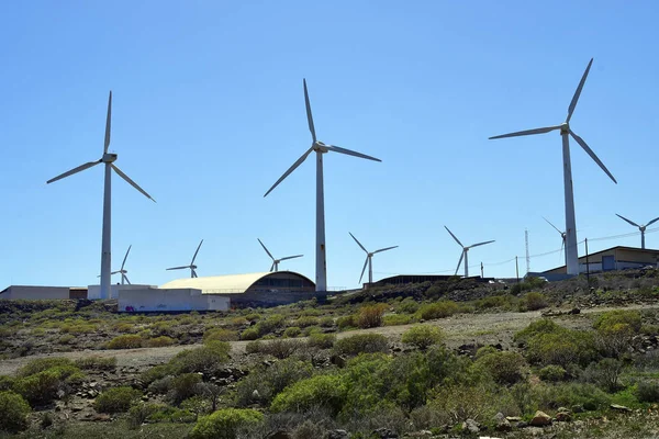 Spain Canary Islands Tenerife Wind Farm Coast Atlantic Ocean — Stock Photo, Image
