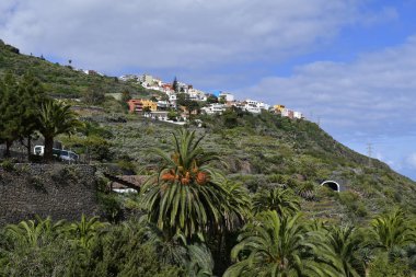 İspanya, Kanarya Adaları, Tenerife, evler, Icod de los Vinos yakınındaki hillside içinde inşa edilmiş