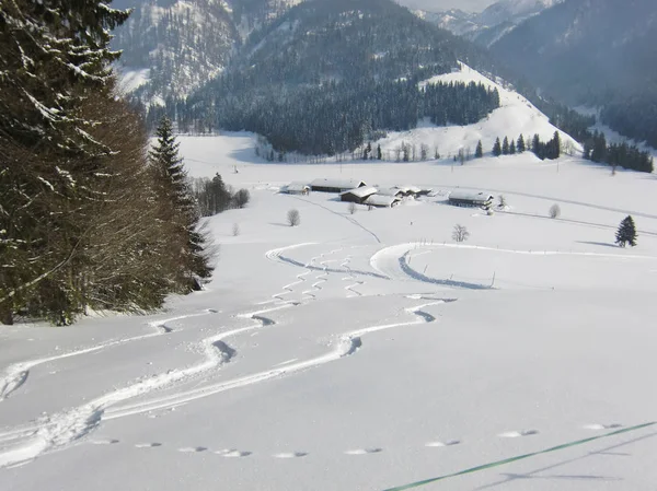 Österrike Skidspår Snöiga Landskap Tirol — Stockfoto