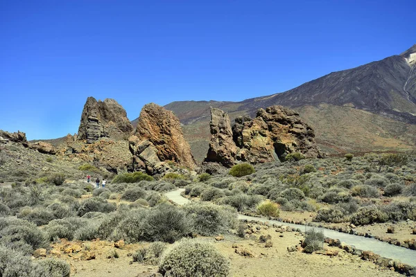 Tenerife Isole Canarie Spagna Aprile 2018 Persone Non Identificate Che — Foto Stock