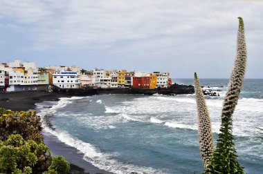 İspanya, Kanarya Adaları, Tenerife, plaj, Playa Jardin Atlantik Okyanusu üzerinde mücevher kule bitki Puerto de la Cruz'da ile