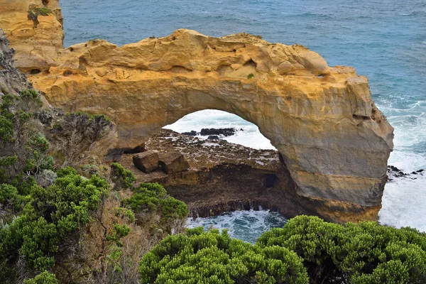 Australia Vic Formazione Rocciosa Sul Mare Chiamata Arch Nel Parco — Foto Stock