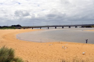 Avustralya, Vic, köprü üzerinde Peterborough kıyı rezerv, Great Ocean road bağlantı noktası Campbell Milli Parkı, tercih edilen turistik ve seyahat hedef parçası,
