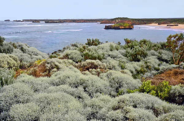 Australien Vic Panoramautsikt Över Bukten Martyrer Port Campbell National Park — Stockfoto