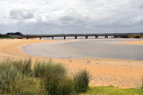 Austrálie Vicu Most Přes Peterborough Pobřežní Rezervace Součást Great Ocean — Stock fotografie