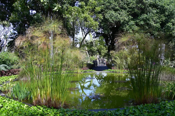 Tenerife Islas Canarias España Abril 2018 Personas Identificadas Visitan Jardín —  Fotos de Stock