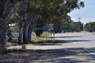 Avustralya, okaliptüs ağaçları ve yön Hume karayolu üzerinde kamp alanı için kayıt