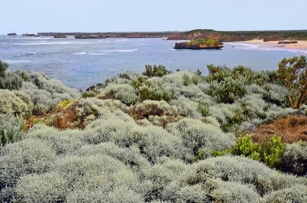Австралия Vic Панорамный Вид Залив Мучеников Национальном Парке Порт Кэмпбелл — стоковое фото