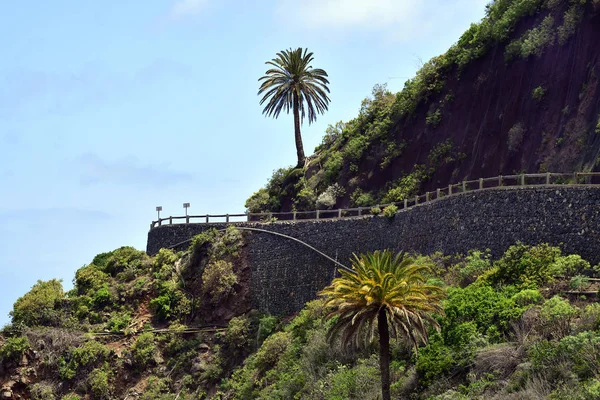 Espanha Ilhas Canárias Estrada Costeira Ilha Gomera — Fotografia de Stock