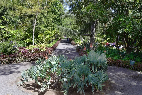 Teneriffa Kanarieöarna Spanien April 2018 Oidentifierade Personer Besöker Botaniska Trädgården — Stockfoto