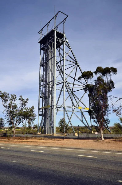 Australia Torre Dell Albero Nel Villaggio Broken Hill Aka Silver — Foto Stock