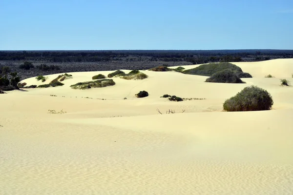 澳大利亚 新南威尔士州 蒙戈国家公园的沙丘 — 图库照片