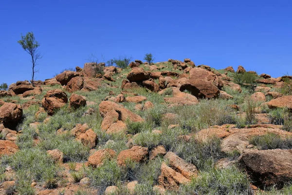 Australië, nt, alice springs — Stockfoto