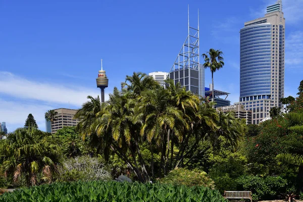 Australia, Nuovo Galles del sud, sydney — Foto Stock