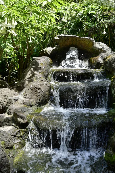 Jardín de Fitzroy, Melbourne, Australia, Victoria —  Fotos de Stock