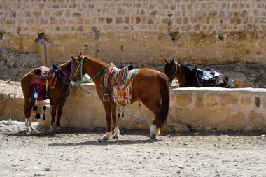 Jordan, Orta Doğu, antik Petra