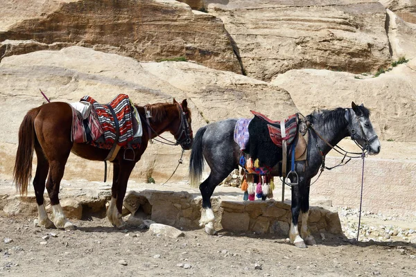 Jordánsko, Střední východ, starověké Petra — Stock fotografie