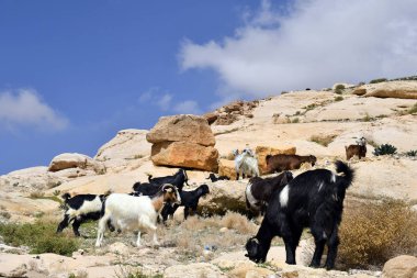 Jordan, Orta Doğu, antik Petra