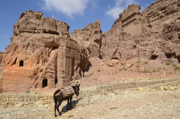 Jordan, Middle East, Ancient Petra