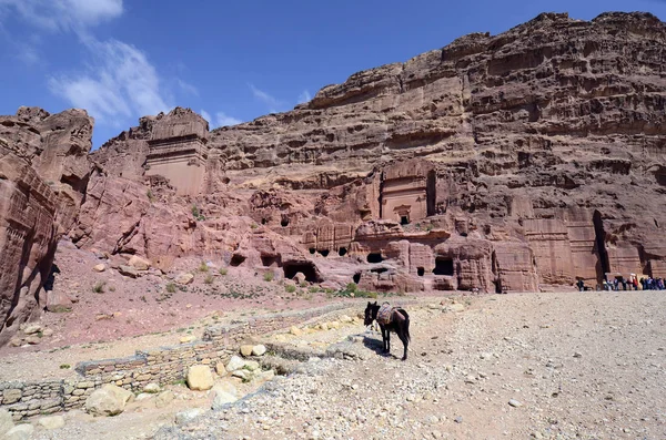 Oude Jordanië, Midden-Oosten, Petra — Stockfoto