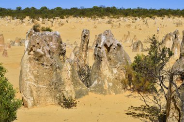Avustralya, Wa, Pinnacles