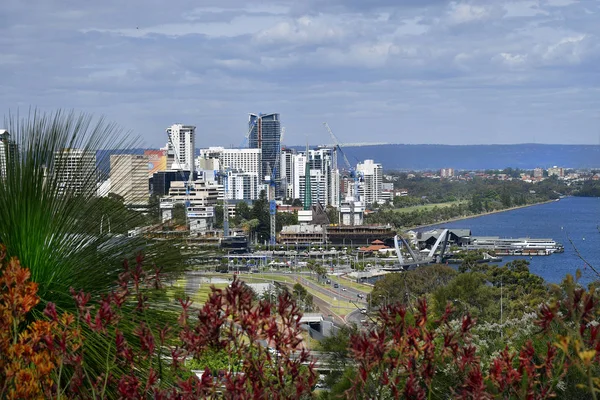 Australia, Botanica — Foto Stock