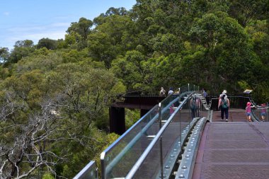 Avustralya, Wa, Perth