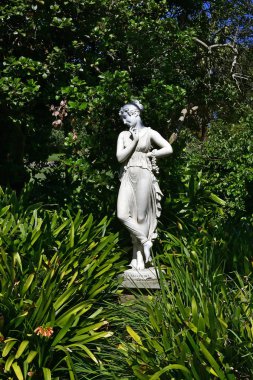 Avustralya, nsw, sydney