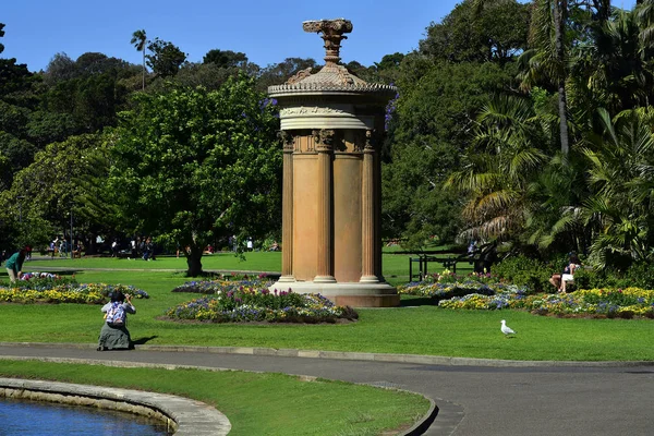 Australië, Nsw, Sydney, Royal Botanic Garden, — Stockfoto